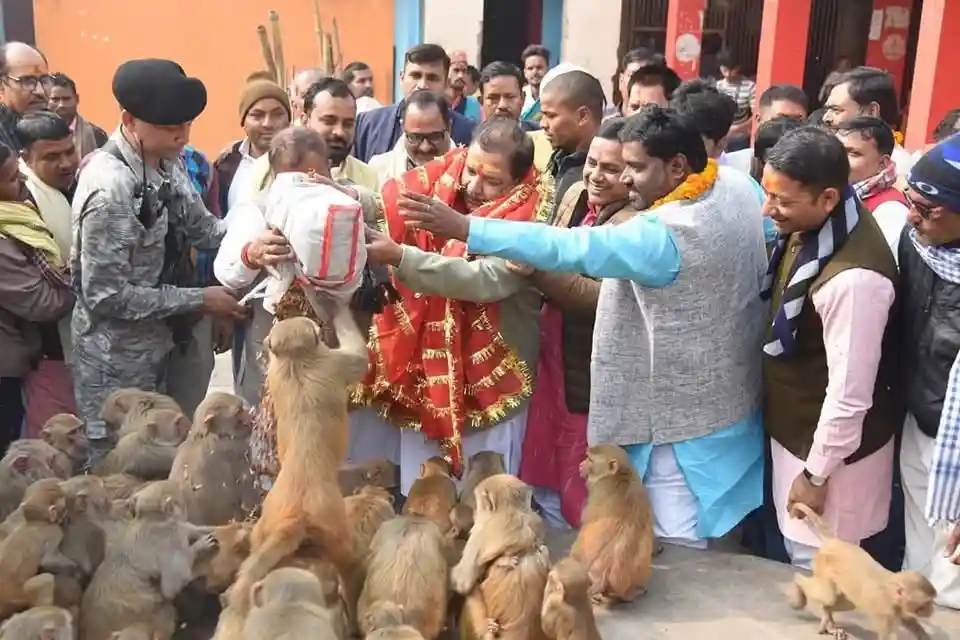 अति प्राचीन है बिक्रमगंज का मां यक्षिणी भवानी भलुनी धाम , मिलते हैं लंगूर | Yakshini Bhavani Bhaluni Dham 6 रोहतास के भलुनी भवानी धाम मंदिर परिसर में बड़ी संख्या में बंदर और उन्हें भोजन देते लोग