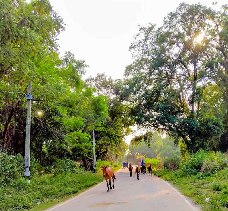 धुप घडी डेहरी ऑन सोन जाने का खूबसूरत  मार्ग 