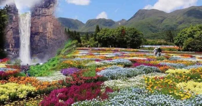 Herbal Park At Tutla Bhawani