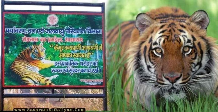 Rohtas forest division will soon become Tiger Reserve
