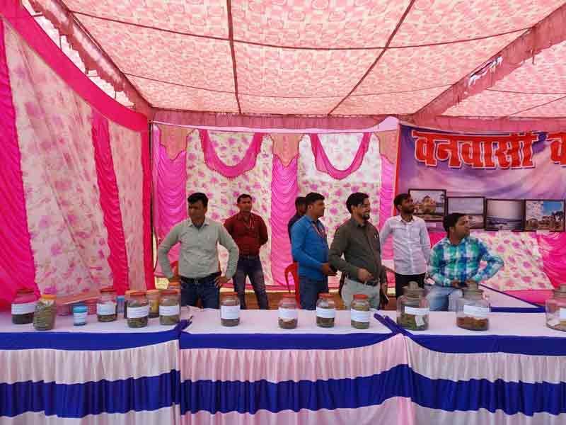 रोहतासगढ़ का पहला सरकारी वनवासी कल्याण महोत्सव ऐतिहासिक बन गया | Rohtasgarh vanvasi kalyan mahotsav 2022 22 रोहतास के जंगलो में उगने वाली औषधियों और फलों की प्रदर्शनी